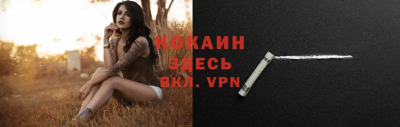 Кокаин Columbia  Волоколамск 