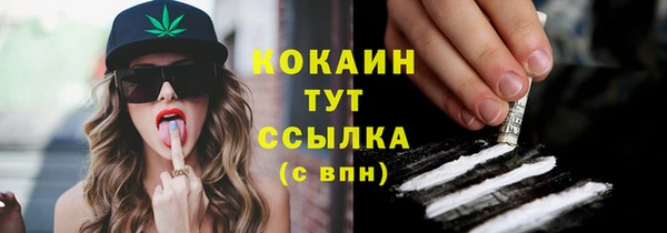 меф Пестово