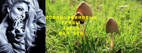 МДПВ Ессентукская