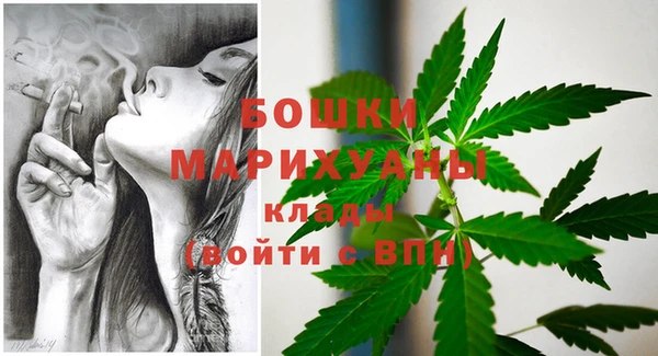 крисы Барнаул