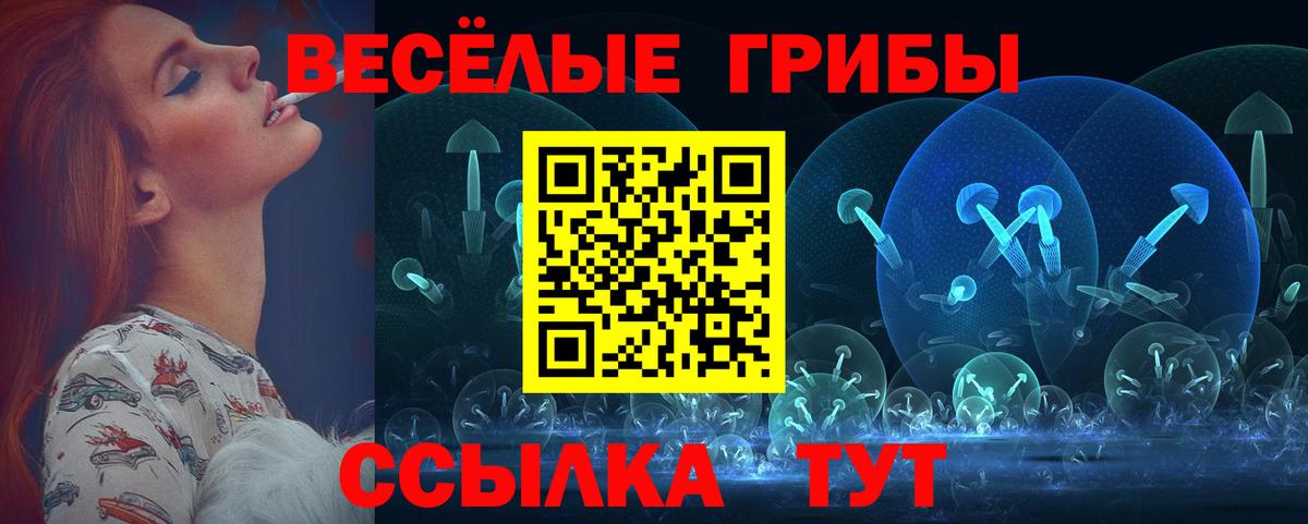 Волоколамск  Галлюциногенные грибы Cubensis  что такое   Вход с VPN 